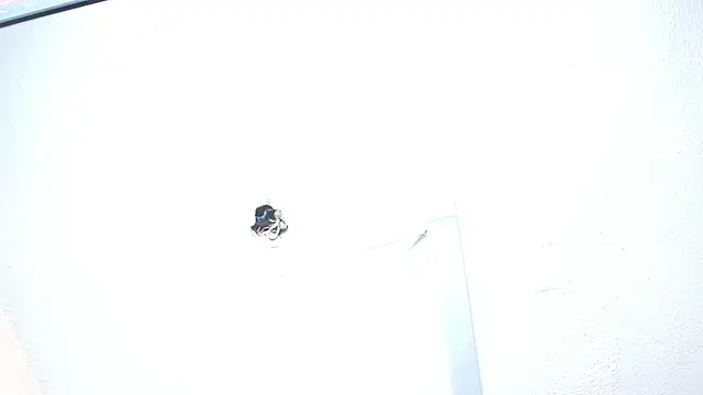 millyjones303av online show from December 5, 2025, 6:26 pm