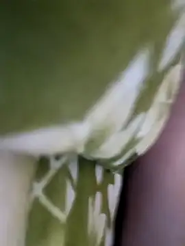 Snapshot of Aalam_0890 chatting on December 15, 2025, 11:03 am Aalam 0890 online show from December 15, 2025, 11:03 am