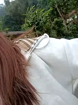 Snapshot of Chinchink2 chatting on December 15, 2025, 4:17 am Chinchink2 online show from December 15, 2025, 4:17 am