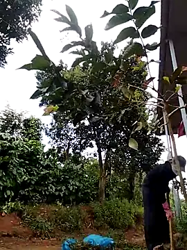 Snapshot of Metting88 chatting on December 15, 2025, 1:21 am Metting88 online show from December 15, 2025, 1:21 am