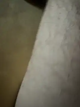 Snapshot of Lilalache chatting on December 14, 2025, 1:27 pm Lilalache online show from December 14, 2025, 1:27 pm