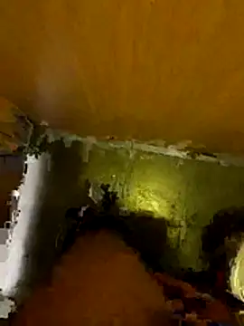 Snapshot of Thilandex chatting on December 19, 2025, 1:56 am Thilandex online show from December 19, 2025, 1:56 am