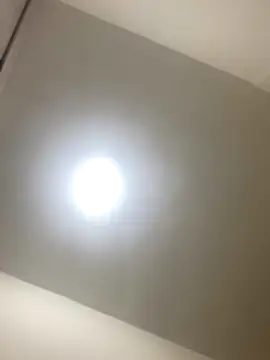 roger rabiit online show from December 19, 2025, 1:12 am