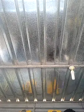 biggy mash online show from December 17, 2025, 10:32 am