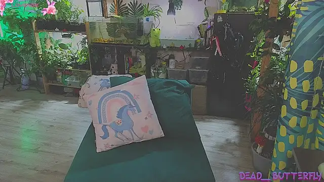 Dead Butterfly online show from March 13, 2025, 3:33 am