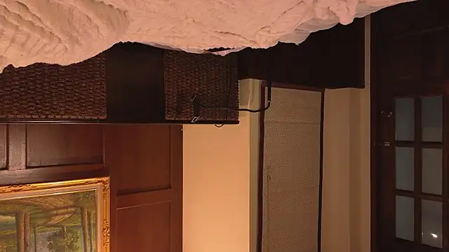 Snapshot of crazy_gerls chatting on March 9, 2025, 6:17 am crazy gerls online show from March 9, 2025, 6:17 am