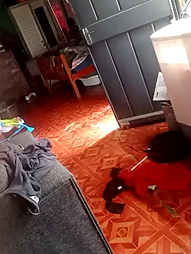 Snapshot of 2soyte chatting on September 26, 2025, 8:29 am 2soyte online show from September 26, 2025, 8:29 am