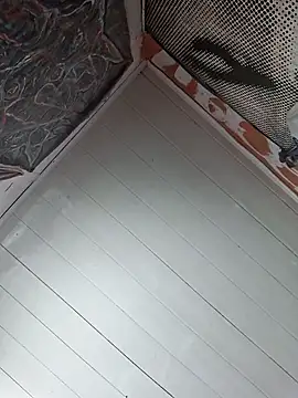 Toycockhot online show from March 6, 2025, 6:05 pm