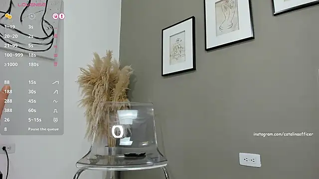 catalinaofficer online show from December 25, 2024, 7:24 pm