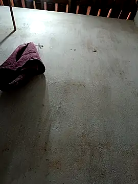 Daniellhck online show from November 23, 2025, 12:05 pm