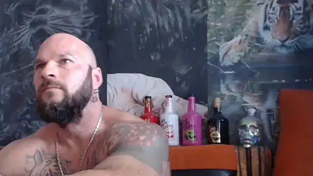 Snapshot of viking_30 chatting on September 17, 2025, 10:17 am viking 30 online show from September 17, 2025, 10:17 am