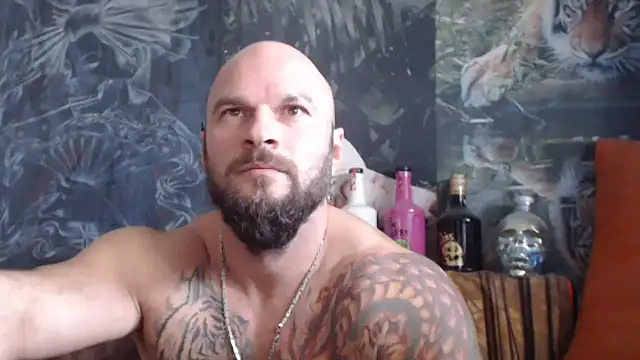 Snapshot of viking_30 chatting on October 13, 2025, 7:08 am viking 30 online show from October 13, 2025, 7:08 am
