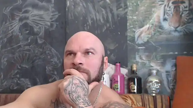 viking 30 online show from November 1, 2025, 8:27 am