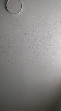 Snapshot of 6lue6a6y69 chatting on February 3, 2025, 12:58 am 6lue6a6y69 online show from February 3, 2025, 12:58 am