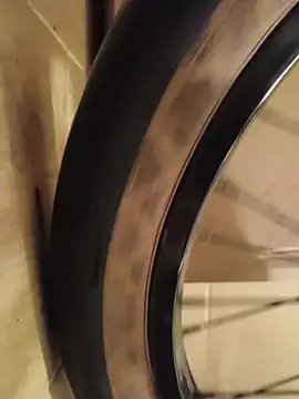 Snapshot of FireFox_Feel chatting on December 9, 2024, 3:29 am FireFox Feel online show from December 9, 2024, 3:29 am