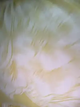 Snapshot of Dhiyapink chatting on December 2, 2024, 6:41 am Dhiyapink online show from December 2, 2024, 6:41 am