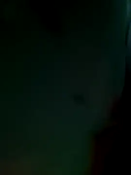 Bibcock2025 online show from December 17, 2025, 5:52 pm