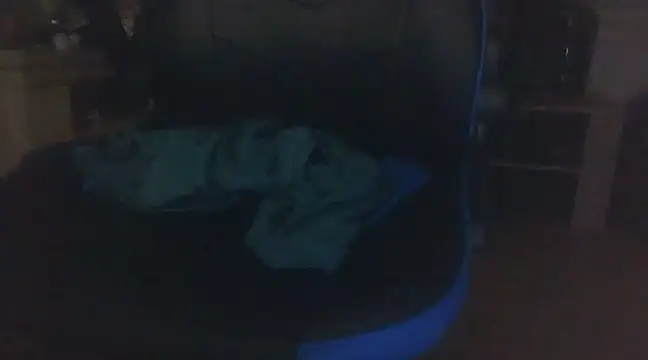 Snapshot of ViaPanties4you chatting on February 12, 2025, 11:30 pm ViaPanties4you online show from February 12, 2025, 11:30 pm