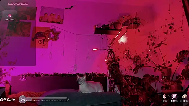 Snapshot of olivecum chatting on January 20, 2025, 4:01 pm olivecum online show from January 20, 2025, 4:01 pm