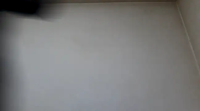 Snapshot of Johan___Barker chatting on January 26, 2025, 7:20 pm Johan Barker online show from January 26, 2025, 7:20 pm