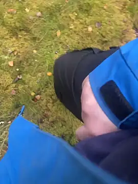 hamstergrabben online show from October 29, 2025, 12:29 pm