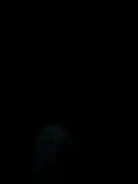 dropmoney online show from December 1, 2025, 5:01 am