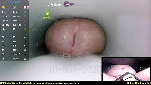 Snapshot of controlmytoys chatting on November 10, 2025, 10:20 pm controlmytoys online show from November 10, 2025, 10:20 pm