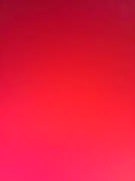 Nikkierosee online show from September 25, 2025, 12:31 pm