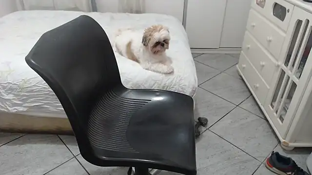 MysterBearMG online show from November 25, 2025, 12:32 am