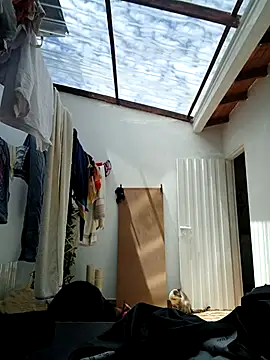 Snapshot of LunaZambrano chatting on September 8, 2025, 3:44 pm LunaZambrano online show from September 8, 2025, 3:44 pm