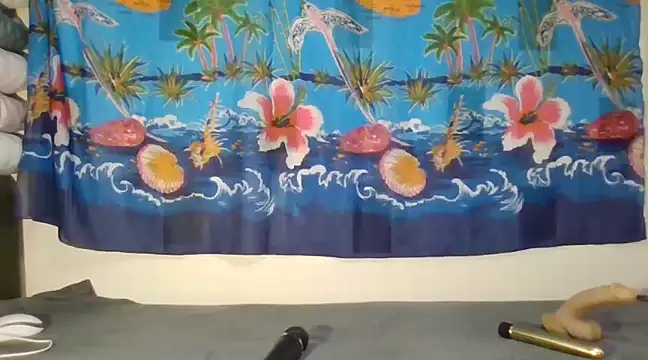 Snapshot of laetitiafun chatting on February 9, 2025, 4:29 pm laetitiafun online show from February 9, 2025, 4:29 pm