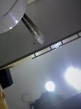 Snapshot of Tayra_Siny chatting on February 14, 2025, 12:47 pm Tayra Siny online show from February 14, 2025, 12:47 pm