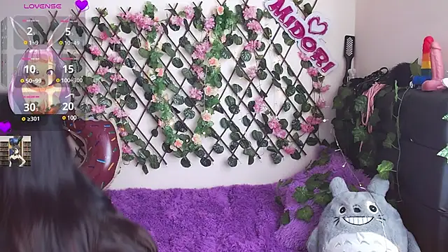 Snapshot of MidoriQuiinn chatting on January 28, 2025, 5:03 pm MidoriQuiinn online show from January 28, 2025, 5:03 pm