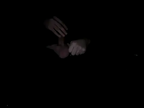 tkaylove online show from December 16, 2025, 7:46 am