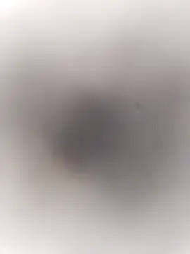 Pitercom online show from September 20, 2025, 3:46 pm