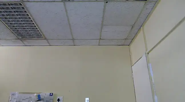 Snapshot of Mydreamgirrl chatting on February 13, 2025, 11:06 am Mydreamgirrl online show from February 13, 2025, 11:06 am