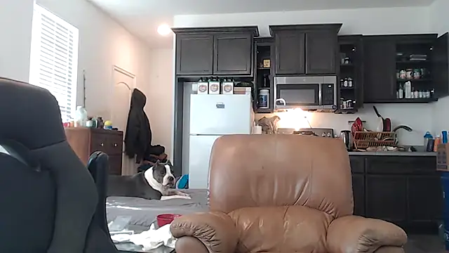 Snapshot of rockpoint69 chatting on January 30, 2025, 10:08 pm rockpoint69 online show from January 30, 2025, 10:08 pm