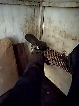 VASKOS178 online show from December 29, 2024, 11:29 am