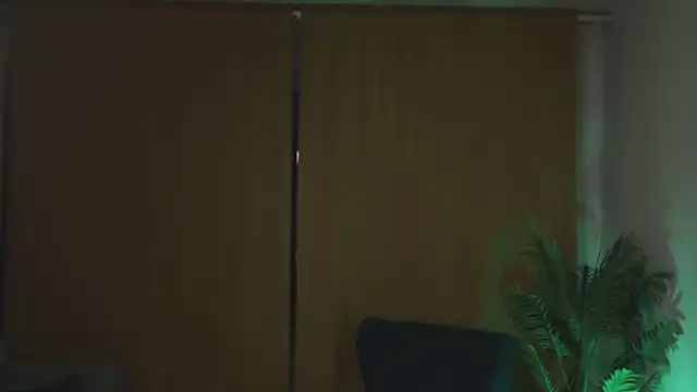 Snapshot of kevin-park chatting on November 17, 2025, 6:03 pm kevin-park online show from November 17, 2025, 6:03 pm