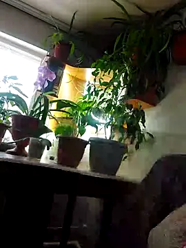 Snapshot of IrmaRose chatting on November 9, 2025, 7:17 am IrmaRose online show from November 9, 2025, 7:17 am