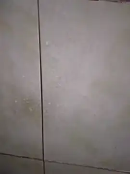 Xxxfill online show from November 27, 2025, 3:41 am