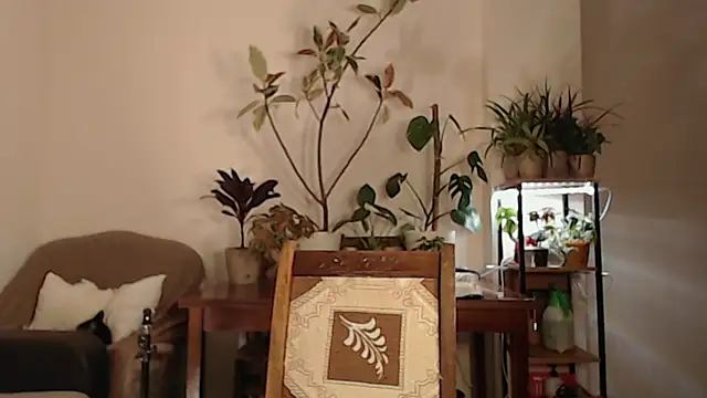 Snapshot of Herman_Elfi chatting on March 13, 2025, 11:16 pm Herman Elfi online show from March 13, 2025, 11:16 pm