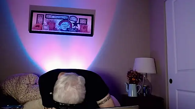 Snarfle82 online show from November 17, 2025, 6:52 am