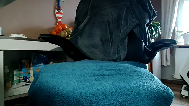 suedel65 online show from September 23, 2025, 3:04 pm