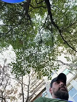 TigerOne19 online show from October 29, 2025, 10:17 am