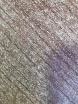 Snapshot of gokhanbey34 chatting on October 26, 2025, 8:53 am gokhanbey34 online show from October 26, 2025, 8:53 am