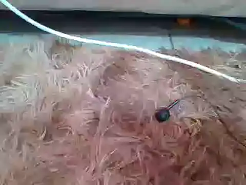 sexyjanett online show from March 11, 2025, 9:13 am