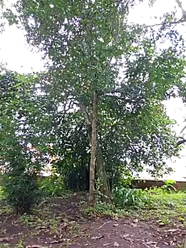 Snapshot of Yuky_ta chatting on February 23, 2025, 5:50 pm Yuky ta online show from February 23, 2025, 5:50 pm