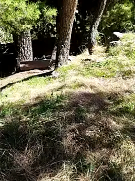 Snapshot of K-27 chatting on October 4, 2025, 10:24 am K-27 online show from October 4, 2025, 10:24 am