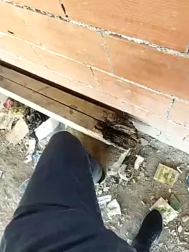 Snapshot of K-27 chatting on October 5, 2025, 9:07 am K-27 online show from October 5, 2025, 9:07 am